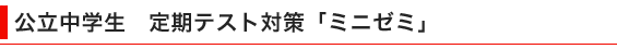 公立中学生　ミニゼミ